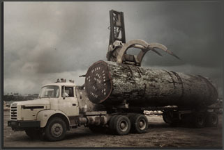 vTL Truck